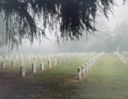 IMG_1991.jpeg