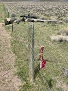 IMG_0449.jpeg