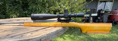 IMG_4726.jpeg