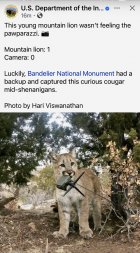 IMG_3342.jpeg