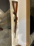 IMG_8802.jpeg
