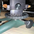IMG_5050.jpeg