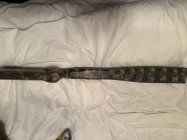 IMG_7831.jpeg