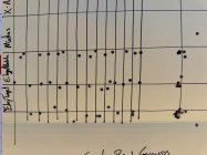 IMG_2347.jpeg
