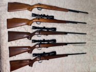 Remington 22 Family.jpeg