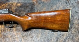 IMG_1836.jpeg