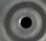 20250720_091441.jpg