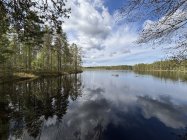 IMG_1054.jpeg