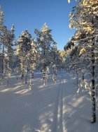 IMG_0538.jpeg