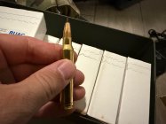 IMG_1062.jpeg