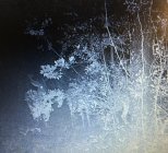 ABCE9306-8D52-4F01-AE62-07DA47151B1A.jpeg