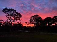 IMG_0062.jpeg