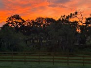 IMG_0176.jpeg