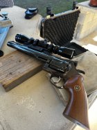 IMG_7382.jpeg