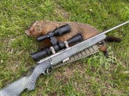 Groundhog 7-21.jpg