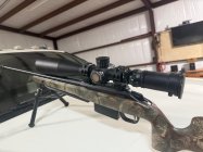 IMG_1519.jpeg