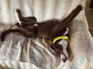 IMG_0080.jpeg