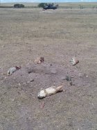 20250722_120225.jpg 20250722_120225.jpg