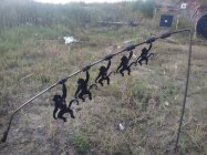 monkey tree.jpg
