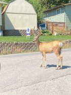 IMG_4149.jpeg