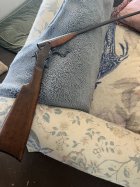 IMG_1993.jpeg