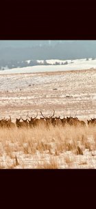 IMG_9318.jpeg