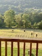 IMG_1464.jpeg