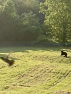 IMG_1469.jpeg