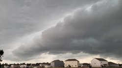 20250725_191808.jpg