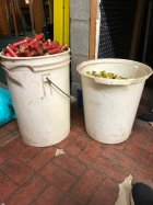 IMG_0725.jpeg