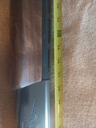 image000000.heic (1).jpg