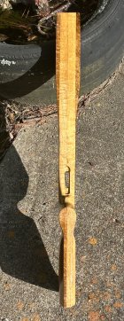 IMG_2916.jpeg