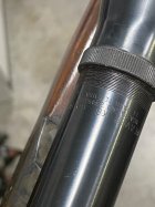 IMG_7297.jpeg