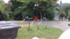 20170721_121558.jpg