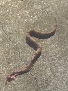 IMG_9963.jpeg