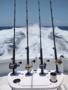 IMG_20210612_122235241.jpg