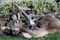 99-Deer 375 jdjjpg.jpeg