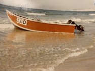 IMG_0637.jpeg