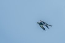 AW5_1619-Edit.jpg