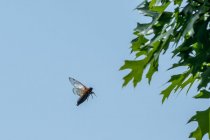 AW5_1565-Edit.jpg