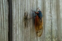 AW5_1701-Edit.jpg