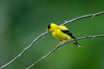 AW5_1758-Edit.jpg