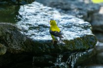 AW5_1748-Edit.jpg
