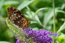 AW5_1646-Edit.jpg