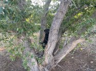 IMG_0651.jpeg