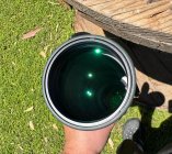 IMG_4932.jpeg