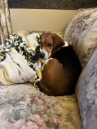 IMG_4778.jpeg