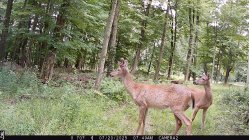 IMG_0021.JPG