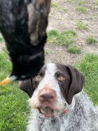 IMG_1589.jpeg