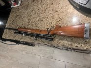 IMG_0339.jpeg